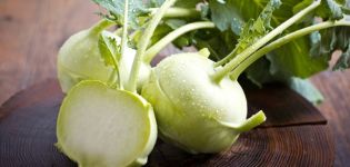 Kohlrabi-Kohl auf freiem Feld anbauen und pflegen