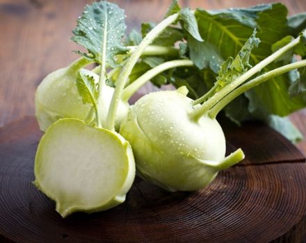 Kohlrabi-Kohl auf freiem Feld anbauen und pflegen