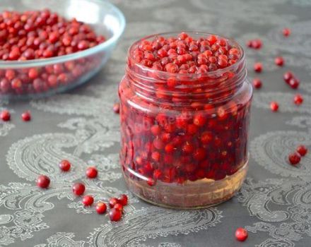 TOP 3 Rezepte für den Winter von Preiselbeeren in Sirup ohne zu kochen
