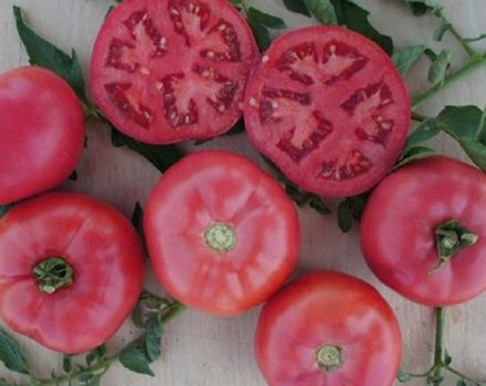 Caractéristiques et description de la variété de tomate Pink Bush F1, son rendement