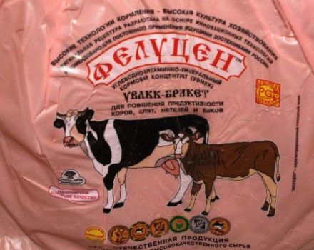 Zusammensetzung und Freisetzungsformen von Felucene, Gebrauchsanweisung für Kühe