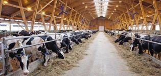 Projet et schéma de construction d'une grange, comment faire un stand de vos propres mains