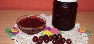TOP 9 des recettes pour faire de la confiture de groseille royale pour l'hiver