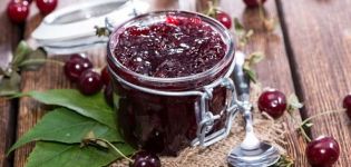 TOP 8 Rezepte für die Herstellung von Kirschmarmelade mit Samen für den Winter