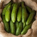 Beschreibung der Gurken der Sorte Relay, deren Anbau und Ertrag