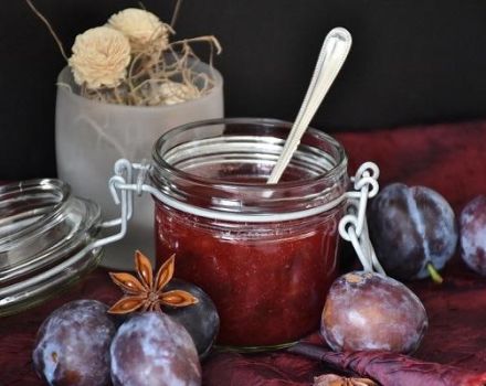 Ein Schritt-für-Schritt-Rezept für Pflaumenmarmelade mit Zimt und Zitrone für den Winter