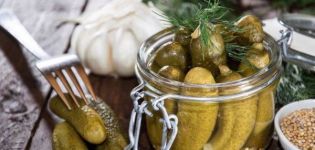 Une recette simple étape par étape pour des concombres légèrement salés sans vinaigre pour l'hiver