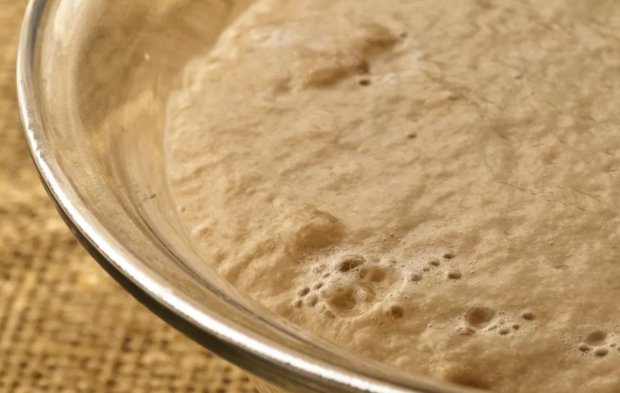 levure dans une assiette