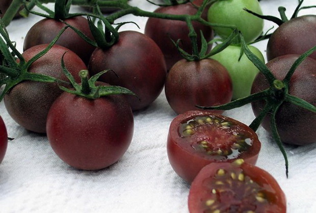 chocolat aux tomates
