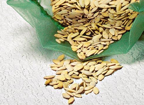 graines de concombre dans un sac