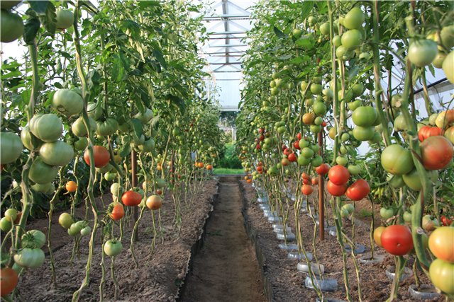 modèles d'atterrissage