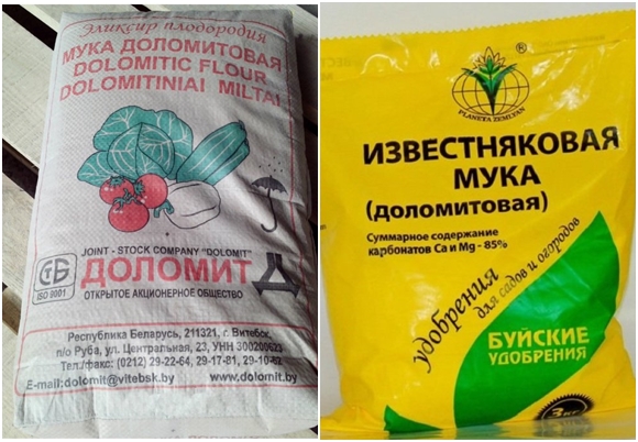 farine de dolomite pour tomates