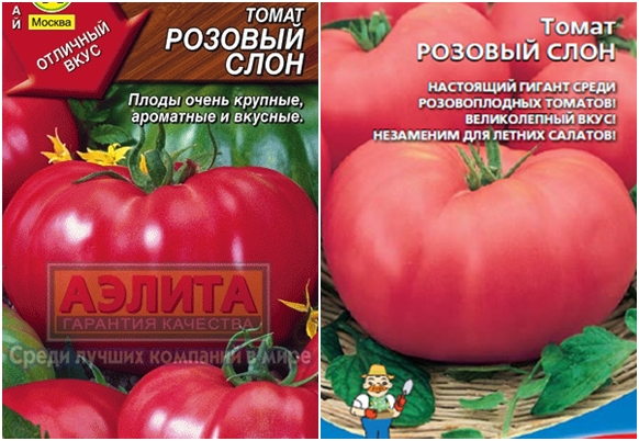 tomato seeds pink elephant