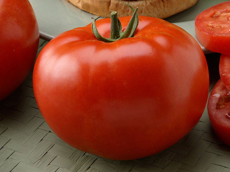 grosse tomate de boeuf