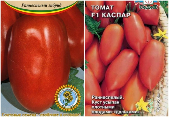Caspar F1 Tomate