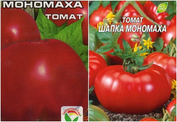 chapeau Monomakh graines de tomates