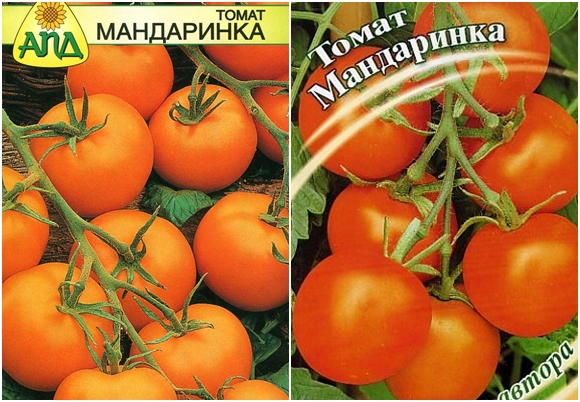 graines de tomate mandarine