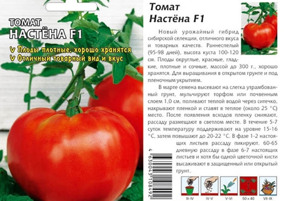 graines de tomates