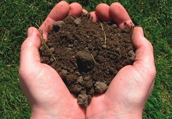 terre dans les mains
