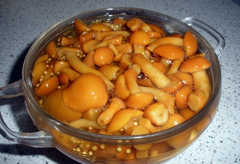 pickled boletus in a bowl