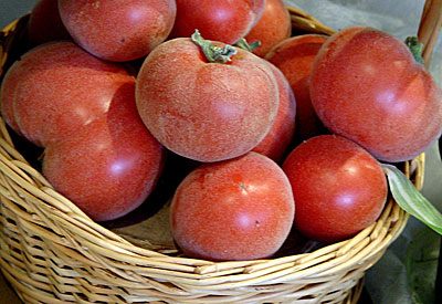 tomate pêche