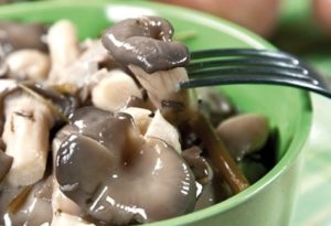 Rezepte, wie man schnell und lecker Salzausternpilze zu Hause macht