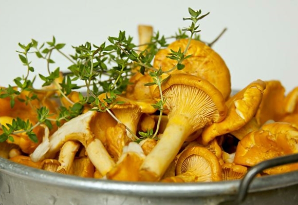 Pfifferlinge auf einem Teller