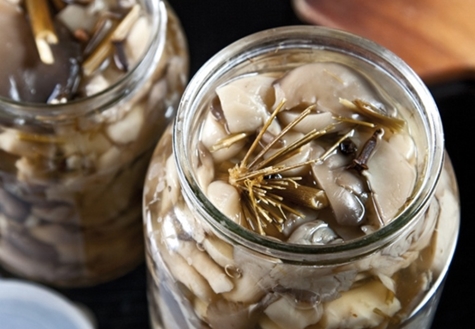 Austernpilze in einem Glas