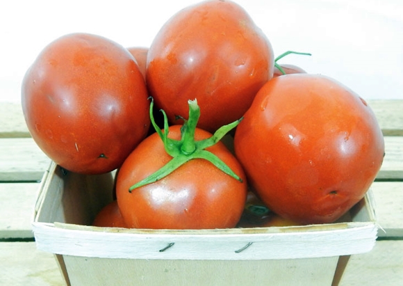 tomate moneymaker dans le panier