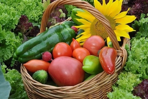 Paprika und Tomaten in einem Korb