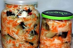 Die besten Auberginenrezepte mit Kohl für den Winter sofort