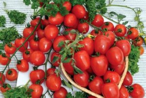 Caractéristiques et description de la variété de tomate fraise, son rendement