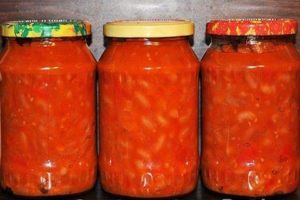 Recettes pour la mise en conserve des haricots à la tomate pour l'hiver comme au magasin