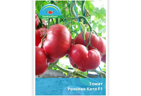 arbustes de tomates rose Katya f1