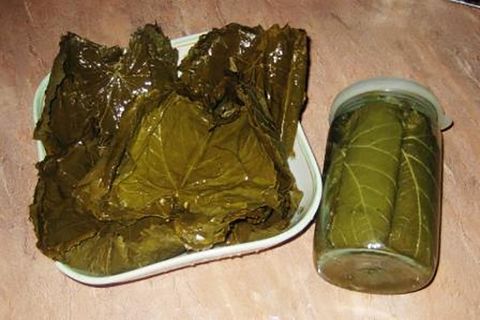 feuilles pour dolma
