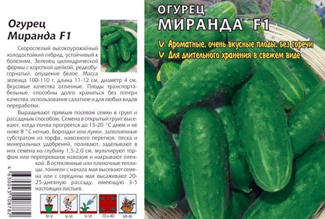 Gurkensamen Miranda F1