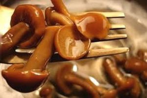 Recipes for cooking salted butter for the winter in jars