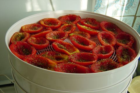 Rezept zum Kochen sonnengetrockneter Tomaten für den Winter in einem Gemüsetrockner