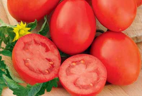 apparence de la tomate marusya