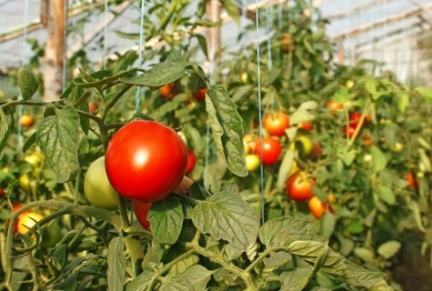 hängendes Spielzeug