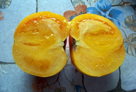 Tomatenkönig Honig im Inneren