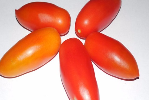 tomate sur fond blanc