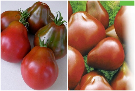 tomates poires noires sur la table