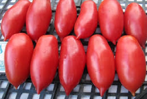 mentir comme des sprats