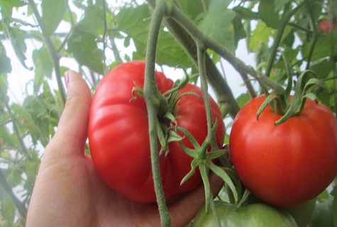 Chef-d'œuvre de l'Altaï en main