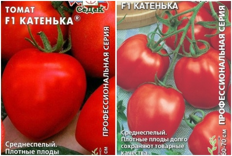 graines de tomates Katenka