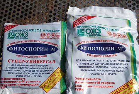 Fitosporin Heilmittel