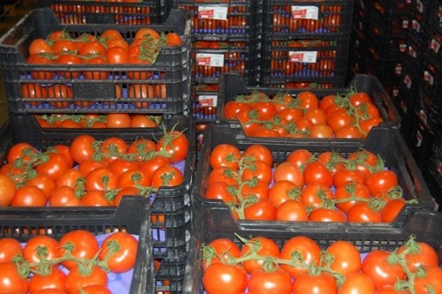 boîtes de tomates
