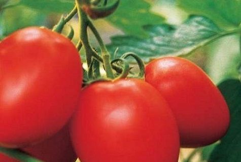 apporter des légumes