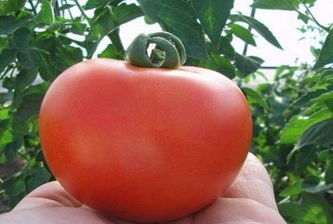 cristal dans la serre